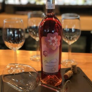 Bristena Busuioacă de Bohotin